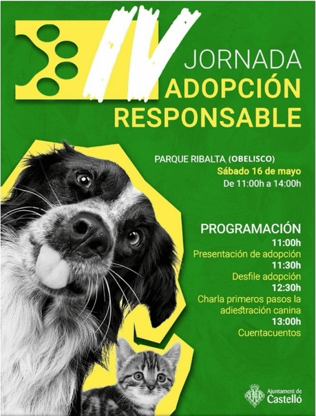 ADOPCIÓN 16