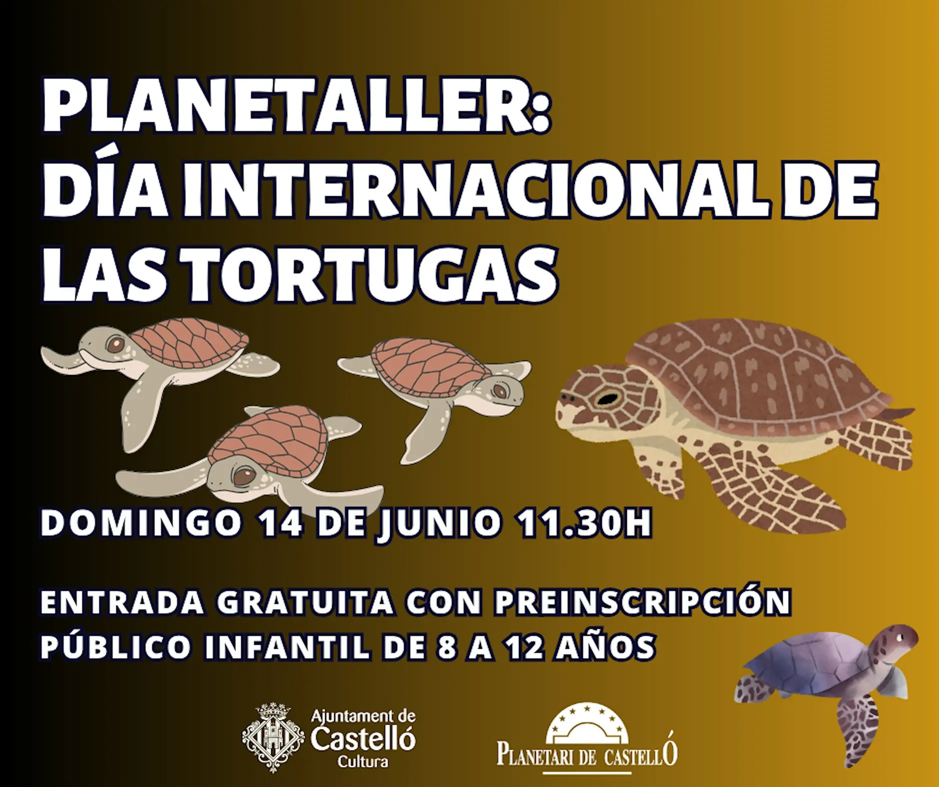 PLANETALLER 14.06