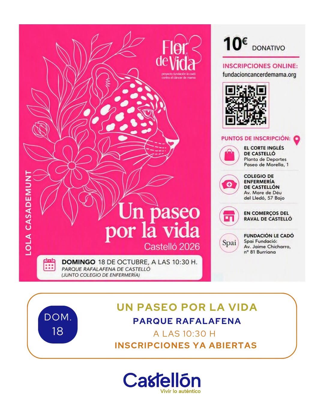 XII MARCHA CONTRA EL CANCER DE MAMA. UN PASEO POR LA VIDA